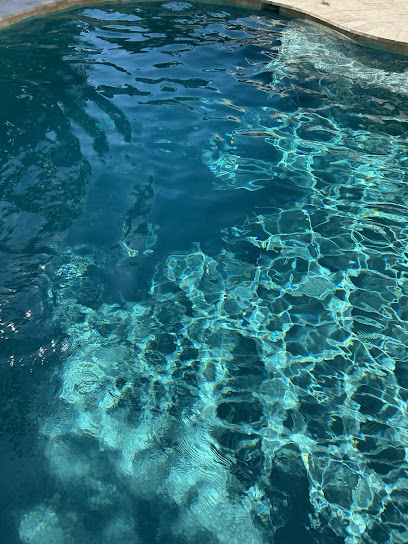 Perfect Pool & Spa- South Tampa exterior view showcasing professional Pool cleaning service services in Tampa, Florida